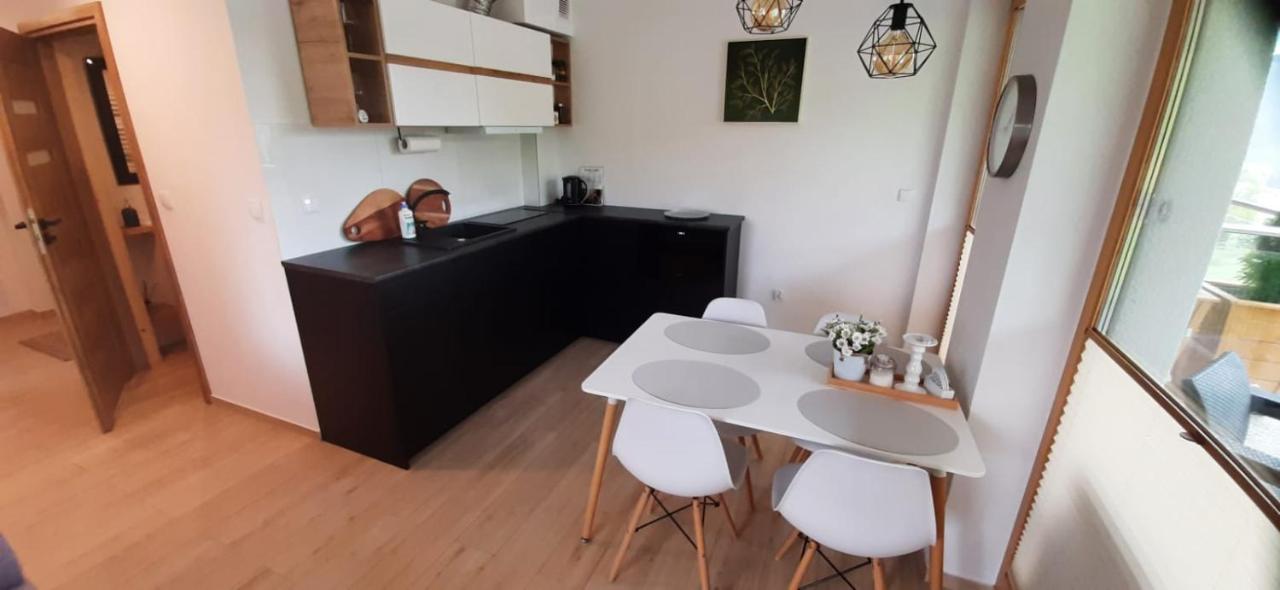 Apartamenty Bachledzki Wierch 扎科帕内 外观 照片