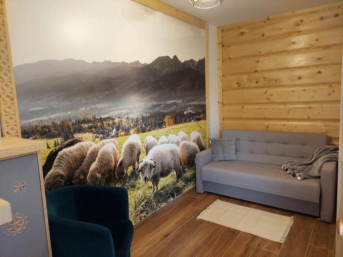 Apartamenty Bachledzki Wierch 扎科帕内 外观 照片